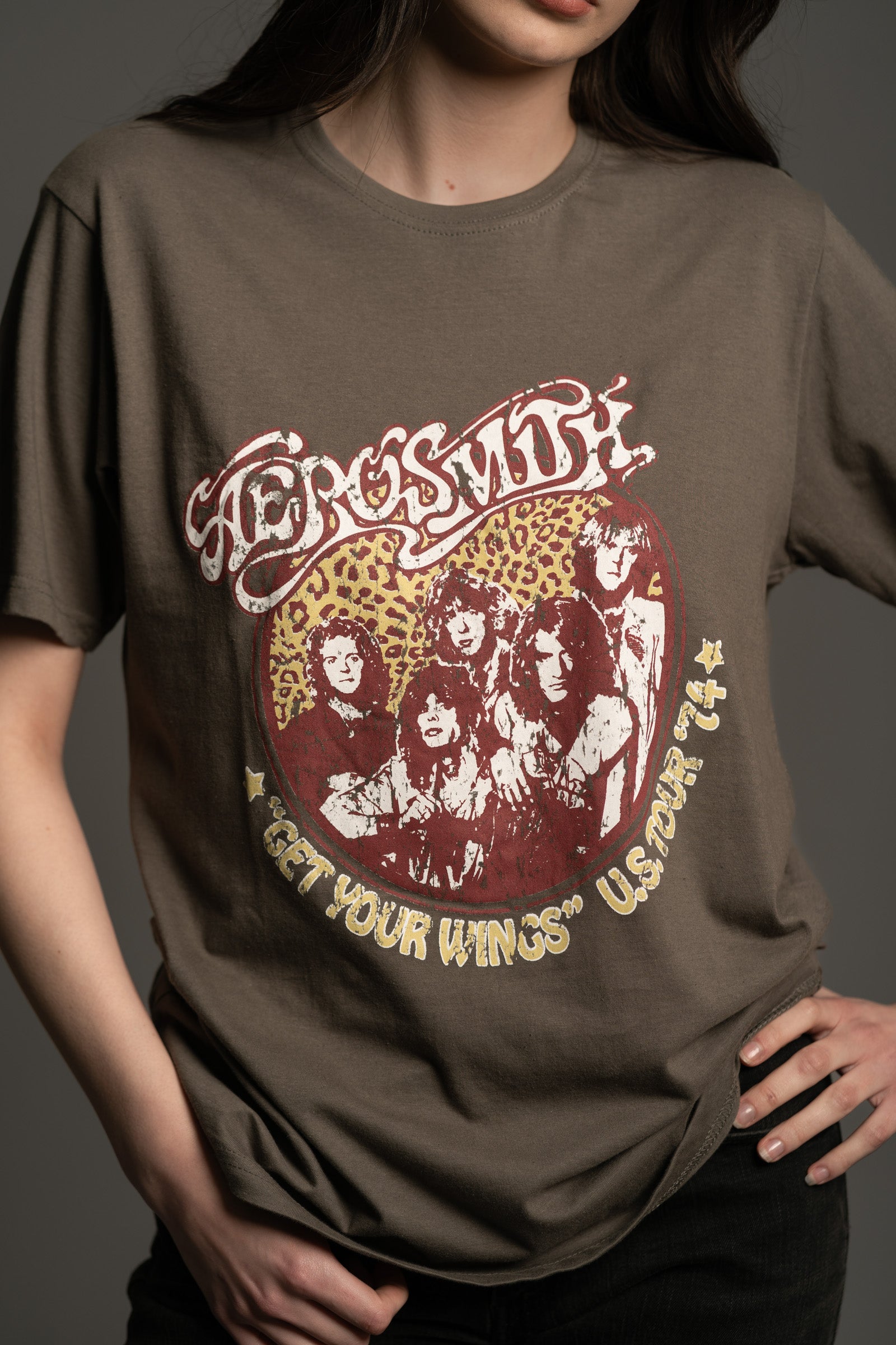 Aerosmith Cheetah Band Tee